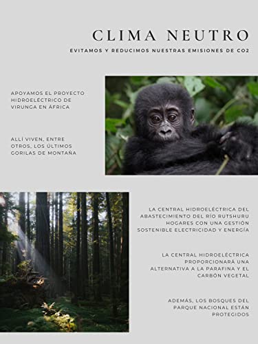 Comprar en Amazon - Feliz cumpleaños - Tarjeta felicitacion cumpleaños con sobre y un