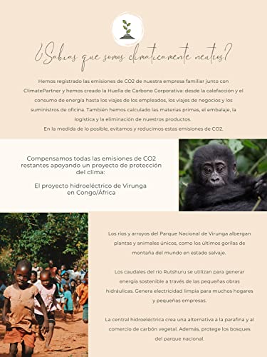 Oferta Flash Joli Coon Tarjeta 50 cumpleaños - Happy Birthday 50 - Tarjeta felicitacion 50 cumpleaños con sobre y un sello   cera