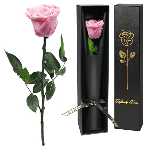 Consigue ahora Yamonic Rosa Eterna Regalos para Cumpleaños Mujer Rosa Natural Preservada con Tallo Regalo Cumpleaños Mujer Flores Preservadas Regalo San Valentín Dia la Madre Flores Preservadas Regalo Mama Navidad Top Precio 2024 | regaloscumple.com