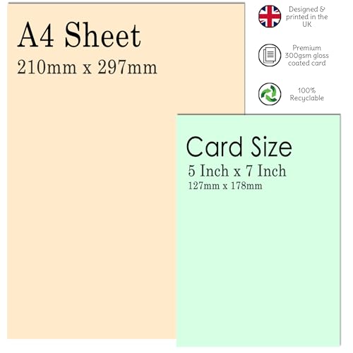 Ofertas de última hora Stuff4 41 tarjetas de cumpleaños para hombres y mujeres -