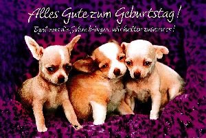 Comprar Tarjeta felicitación Navidad cumpleaños Depesche – Tarjeta felicitación cumpleaños con sobres Diseño 59 B Top Precio 2025 | regaloscumple.com