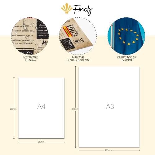 Mejores precios Finoly Regalo Cumpleaños 60 Años  Póster Aniversario 1963  Regalo Cumpleaños Mujer - Regalo Cumpleaños Hombre - 60 Cumpleaños Hombre - 60 Cumpleaños Mujer - Tarjeta Felicitación Cumpleaños (A4  1963)