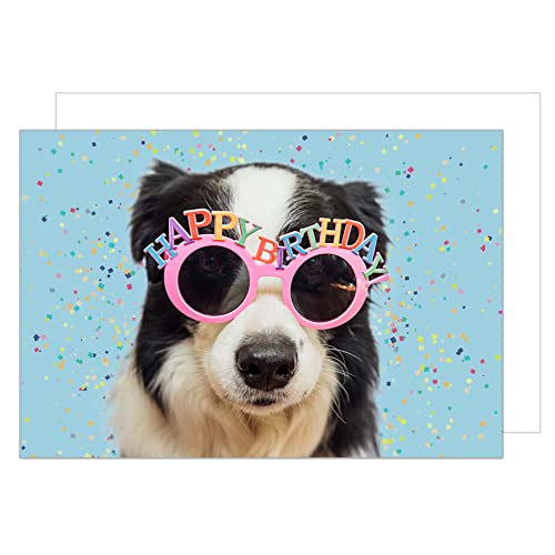 Comprar Edition Seidel Tarjeta felicitación cumpleaños premium con sobre Happy Birthday Regalos Tarjeta felicitación Hombre Mujer Animal Perro Gafas Humor Divertido (G3419 SW023) Ofertas 2025 | regaloscumple.com