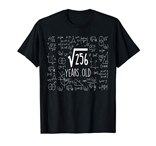 Oferta 16o raíz = 16 matemáticas Camiseta