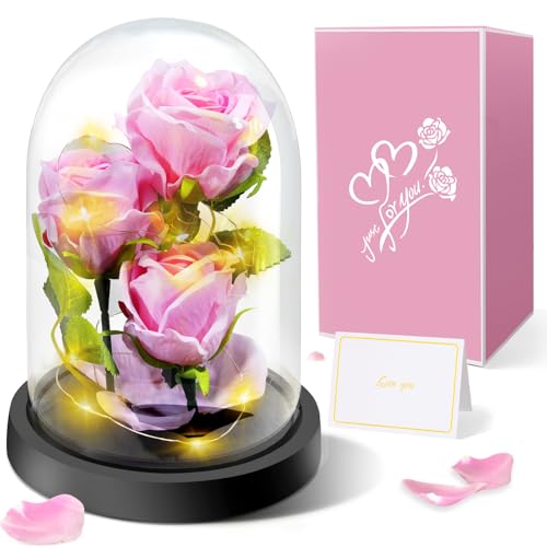 Consigue ahora Rosa Eterna Rosa Sant Jordi Roja con Base y Tarjeta Felicitación Regalos para el Día la Madre Regalo Flor Rosa con Cumpleaños Luz LED en una Cúpula Cristal para el Día la Madre Mujeres Rebajas 2024 | regaloscumple.com