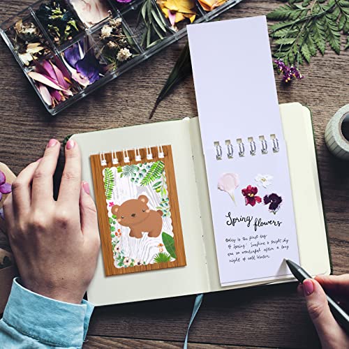 Ofertas Mini Niños Fiesta Mini Notas Bosque Espiral Bosque Búho Ardilla (Estilo