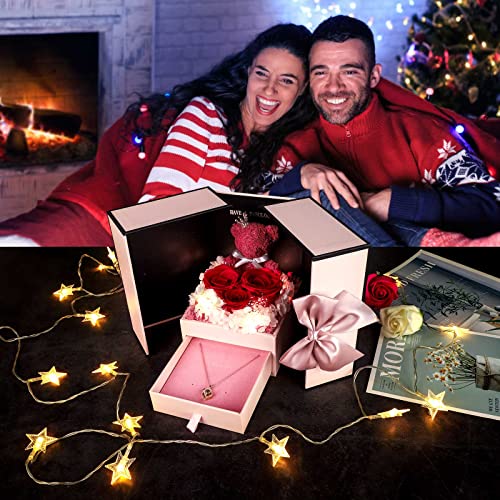 Top Precios ADDWel Collar de Rosa Real roja preservada con Texto en inglés I Love You 100 Idiomas, Oso Rosas encantadas, Lindo Regalo romántico Aniversario, Navidad, cumpleaños para mamá, Esposa