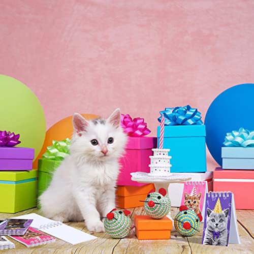 Ofertas de última hora 24 Blocs   Notas   Animales Gato Mini Cuaderno Pequeño   Bolsillo en Espiral   Gato Lindo Notas   Gato   Mascota Cuadernos Pequeños en Espiral para Regalo Fiesta   Gato Niños Niñas