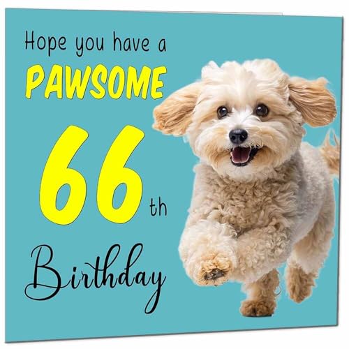 Comprar Tarjeta cumpleaños número 66 para hombres y mujeres Promoción tarjeta cumpleaños para 66 años mujer madre tía abuela hermana abuela sesenta y seis sesenta y sexta niñera Top Precio 2024 | regaloscumple.com