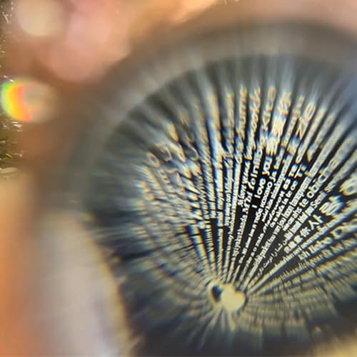 Mejores precios Rosa con Corazón Caja 'You My – Regalo Mamá, Abuela Novia el la Cumpleaños San Navidad