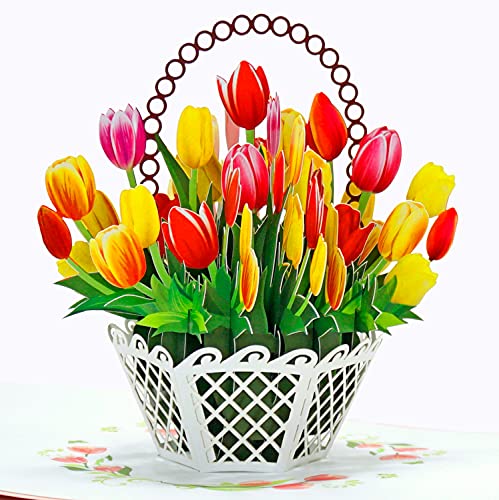 Consigue ahora CUTPOPUP Promoción Tulipán - 3D Tarjeta Cumpleaños Tarjetas Dia La Madre Regalos Originales Para Mujer Regalos Para Mujer (Tulip ES) US8-FL113ES. Top Precio 2025 | regaloscumple.com