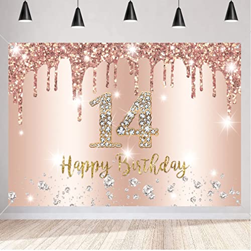 Comprar Catálogo 14 cumpleaños niña decoración 14 cumpleaños pancarta oro rosa 14 cumpleaños tela cartel cartel cartel 14 cumpleaños fondo pancarta niña fiesta fiesta decoración Rebajas 2024 | regaloscumple.com