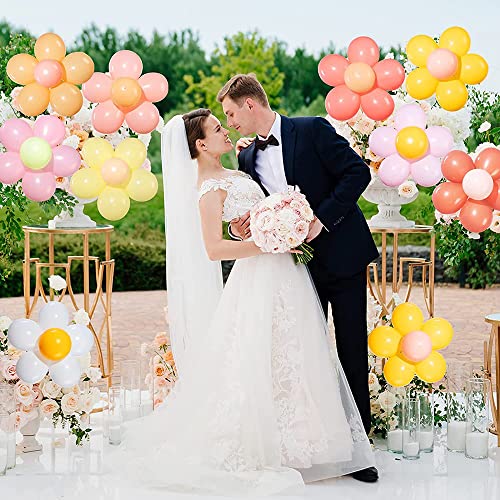 Ofertas de última hora YGCHEN Globos   Margaritas Globos   Látex Flores Globo Cumpleaños Guirnalda Globos Decoración para Fiestas   Cumpleaños Bodas Accesorios   Fotos (54 Piezas)