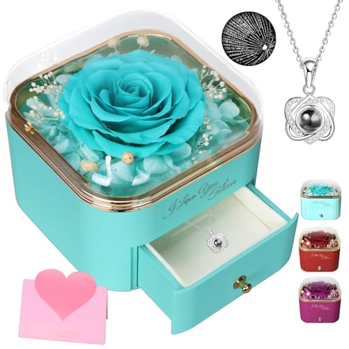 Consigue ahora Ideas para regalar Caja regalo con rosa real estabilizada con collar "Te amo" en 100 idiomas regalo rosa eterna para mujeres esposa hija regalo para el día la madre cumpleaños aniversario Navidad Top Precio 2024 | regaloscumple.com