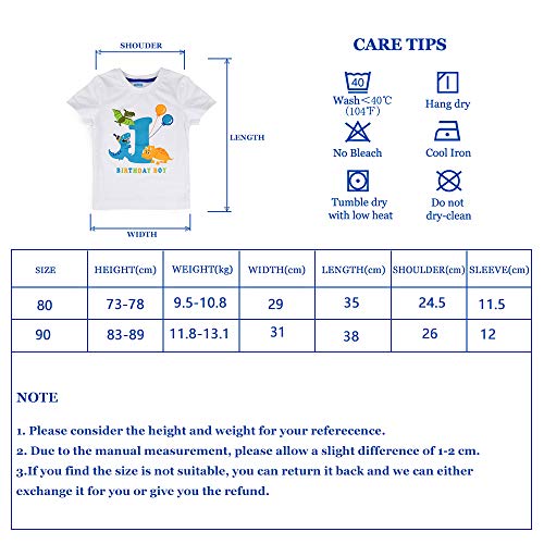 Oferta Flash Dinosaurio Camiseta de Cumpleaños - Bebé Suministros para la Fiesta Camisetas Manga Corta Niño Blanco Cuello Redondo 100% Algodón Tops