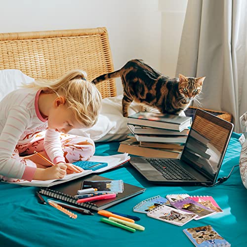 Mejores precios 24 Blocs de Notas de Animales Gato Mini Cuaderno Pequeño